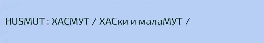 HUSMUT : ХАСМУТ / ХАСки и малаМУТ /